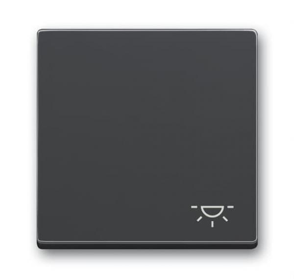 B+J Wippe mit Aufdruck, anthrazit, future linear, Abdeckungen für Schalter/Taster 2520 LI-81