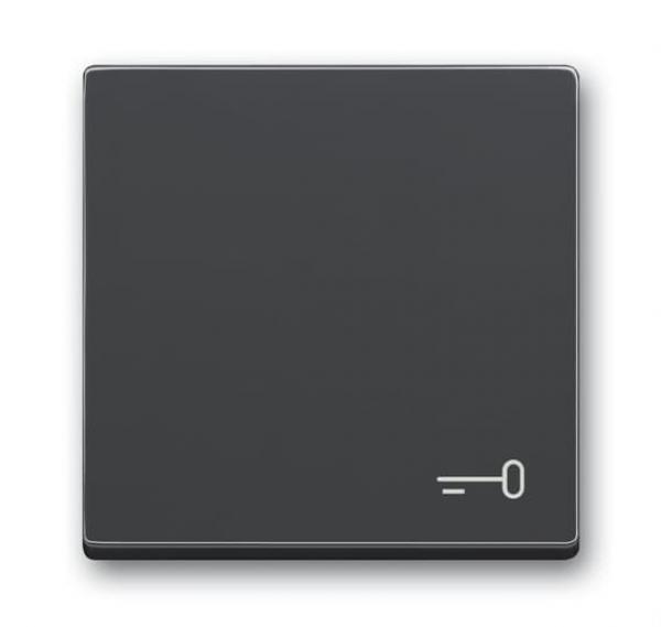 B+J Wippe mit Aufdruck, anthrazit, future linear, Abdeckungen für Schalter/Taster 2520 TR-81