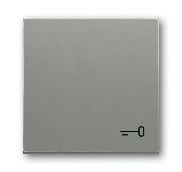 B+J Wippe mit Aufdruck, graumetallic, solo, Abdeckungen für Schalter/Taster 2520 TR-803