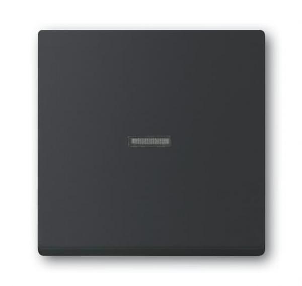 B+J Wippe, schwarz matt, future linear, Abdeckungen für Schalter/Taster 1789 N-885