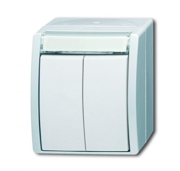 B+J Doppeltaster/Serientaster, alpinwei§, Aufputz IP 44, ocean (IP 44) 2621 WN-54-205-101