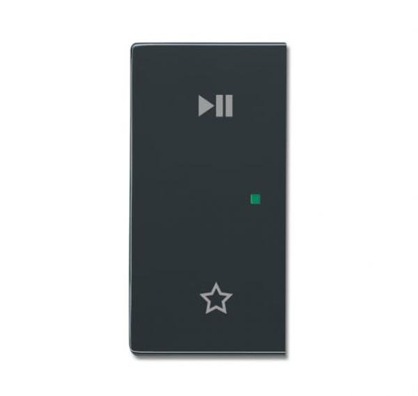 B+J Wippe, anthrazit, Busch-free@home, Abdeckungen 6237-21-81