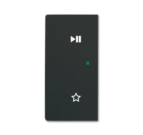 B+J Wippe, schwarz matt, Busch-free@home, Abdeckungen 6237-21-885