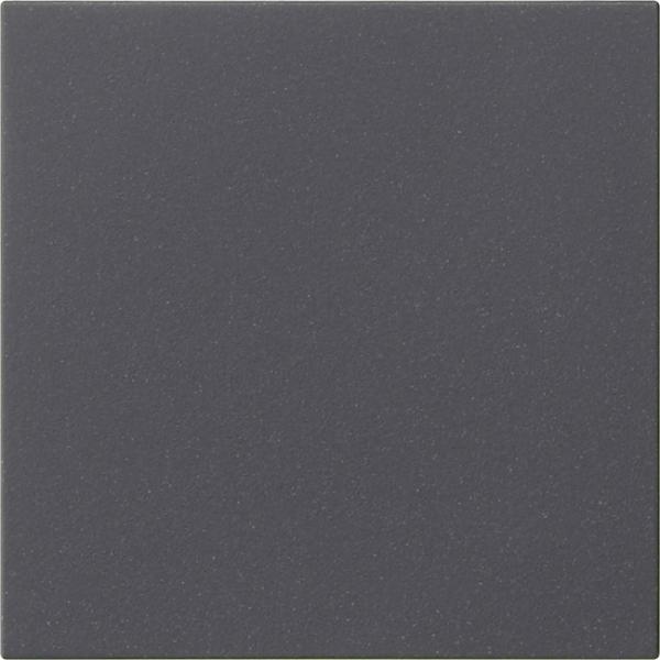 Gira System55 S3000 Tast Dimmer Abdeckung Anthrazit 536028