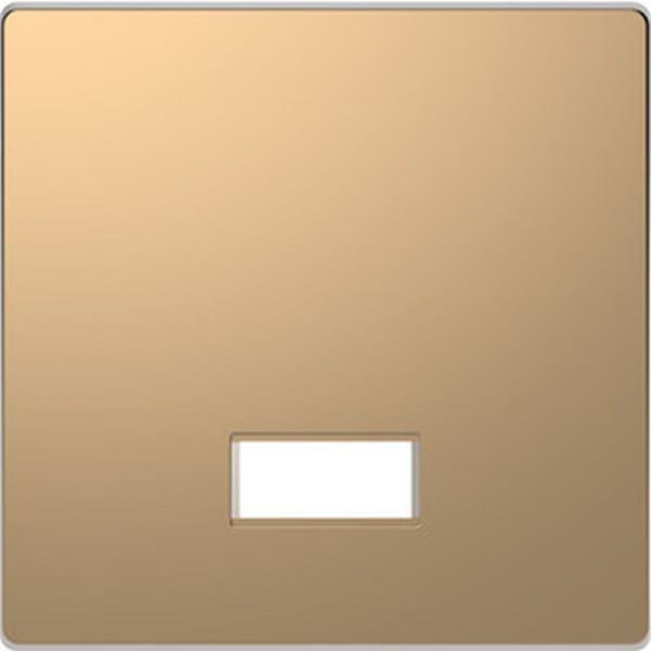 Merten Wippe mit rechteckigem Symbolfenster, Champagnermetallic, System Design MEG3350-6051