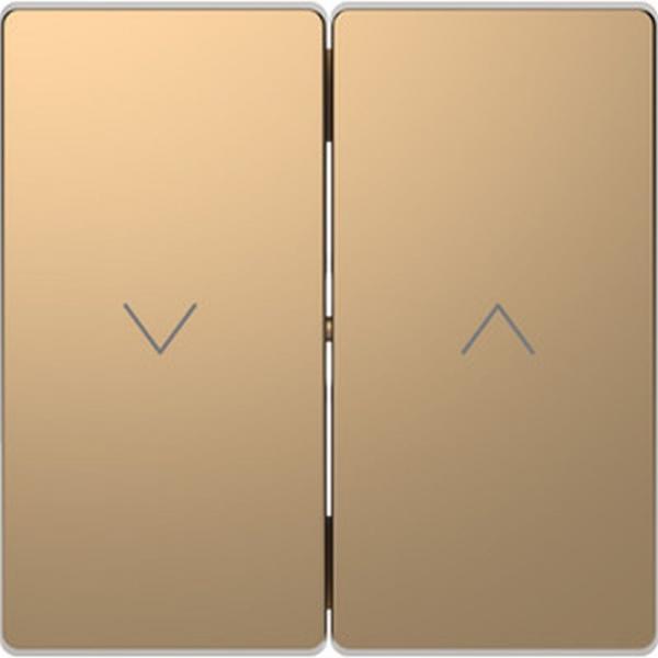 Merten Wippe fŸr Rollladenschalter und -taster, Champagnermetallic, System Design MEG3855-6051