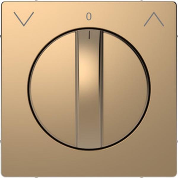 Merten Abdeckung Rollladen-Tast-Rastschalter-Eins., Champagnermetallic, Sys. Design MEG3875-6051