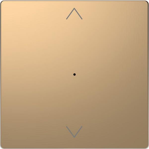 Merten Wippe fŸr Taster-Modul 1fach (Pfeile Auf/Ab), Champagnermetallic, System Design MEG5215-6051