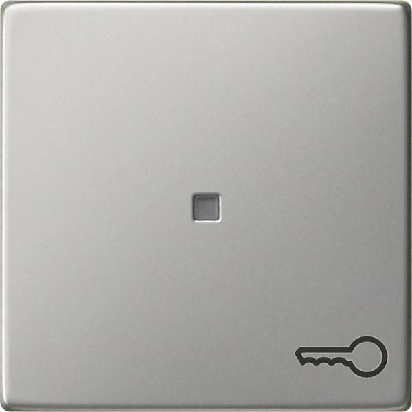 Gira System 55 Kontrollwippe mit Symbol TŸr Edelstahl 0287600