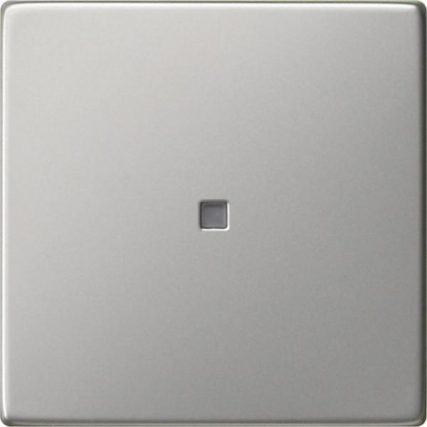Gira System 55 Kontrollwippe Edelstahl 0290600