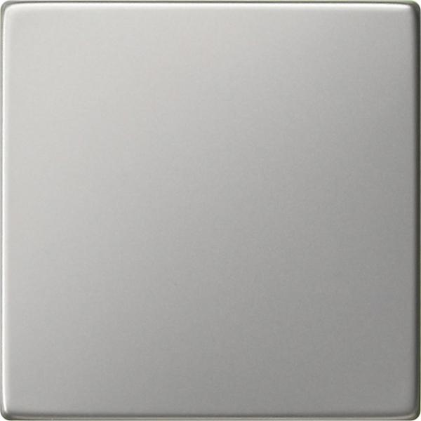 Gira System 55 Wippe Edelstahl 0296600