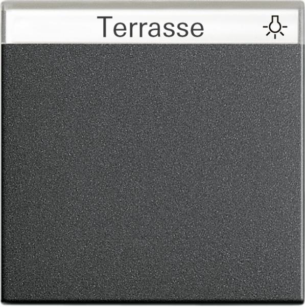 Gira Wippe BSF System 55 Anthrazit 029928