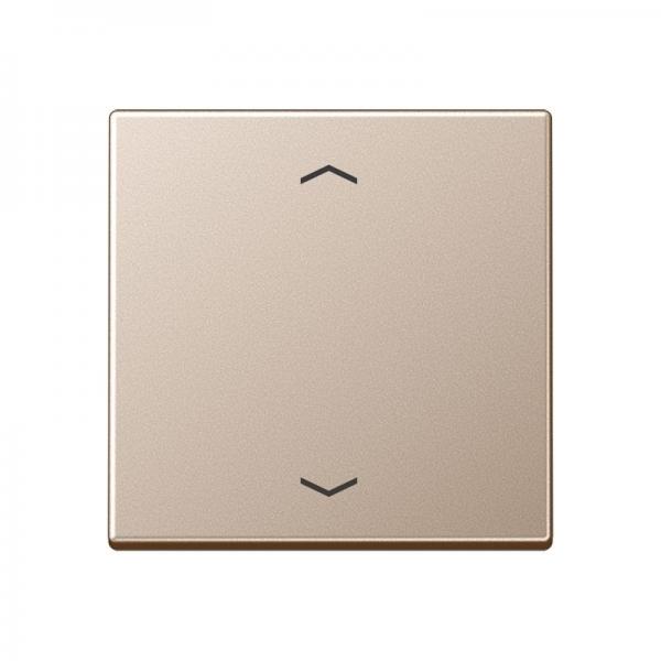 Jung Steuertaste Standard -Pfeile A1700PCH