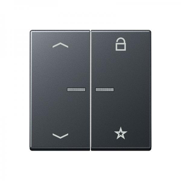 Jung Steuertaste Universal -Pfeile A1701BFPANM