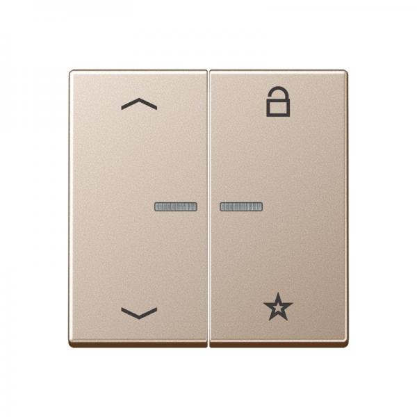 Jung Steuertaste Universal -Pfeile A1701PCH