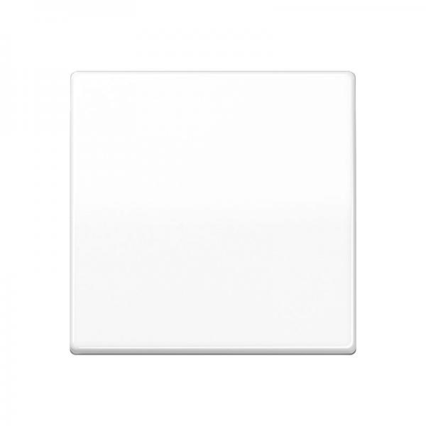 Jung Steuertaste Standard AS1700WW