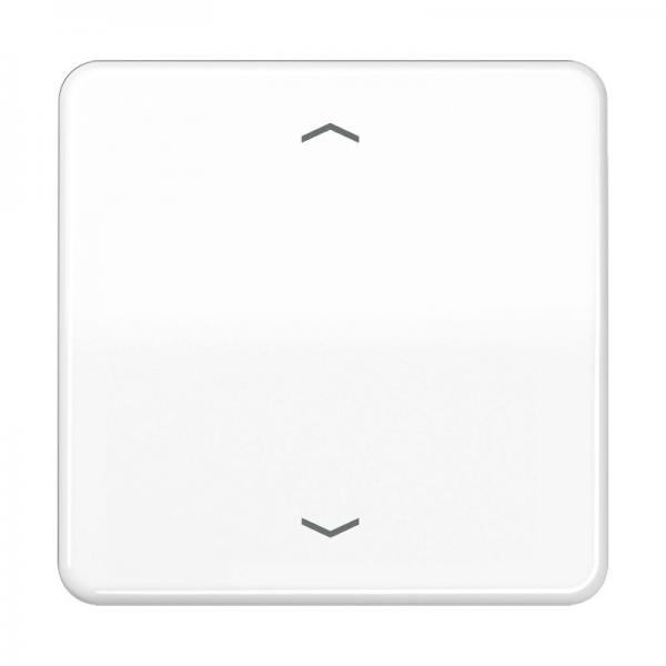 Jung CD500 Steuertaste Standard -Pfeile CD1700PWW