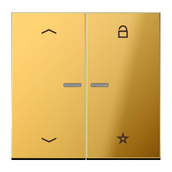 Jung Steuertaste Universal -Pfeile GO1701P