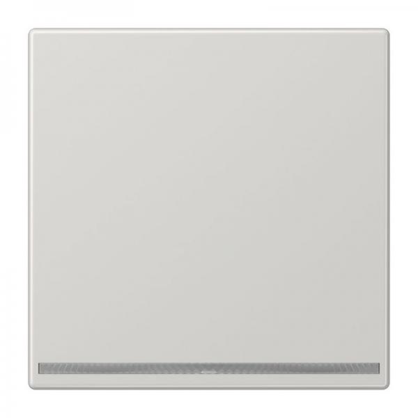 Jung LED-Orientierungslicht ohne Sensor LS1539-OOLGLNW