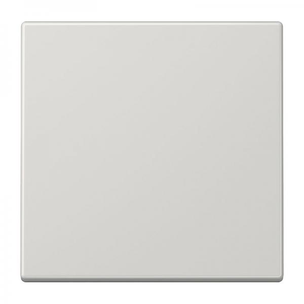 Jung Steuertaste Standard LS1700LG