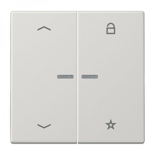 Jung Steuertaste Universal -Pfeile LS1701PLG