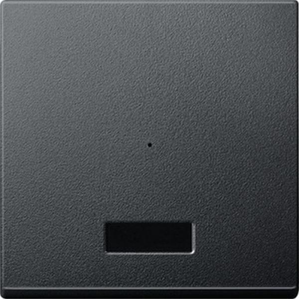 Merten Wippe fŸr Taster-Modul 1fach mit IR, anthrazit, System M MEG5212-0414