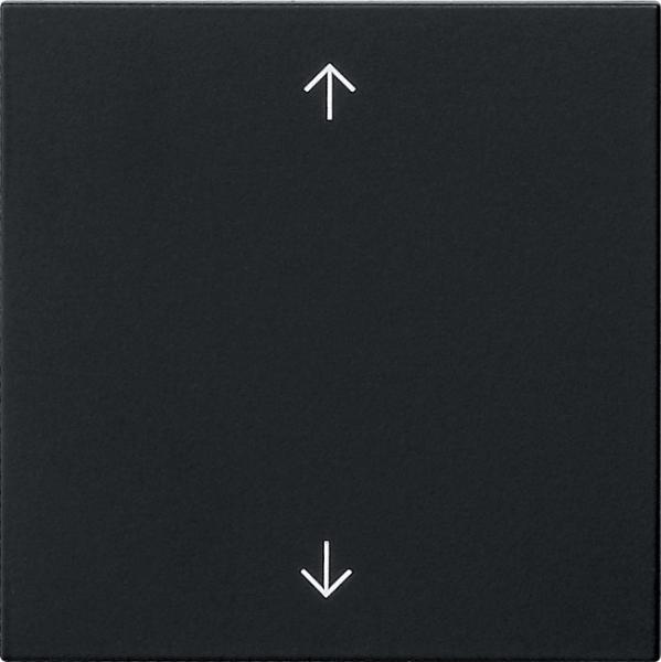 Gira Wippe 1f Pfeile System 55 Schwarz m 5389005