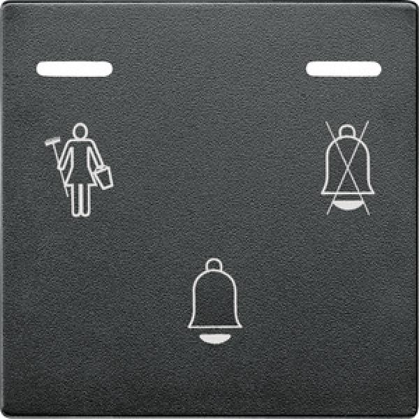 Merten Klingeltaster mit LED-Anzeigen, anthrazit, System M 587614