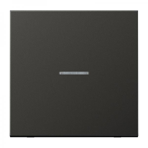 Jung LS990 Kontroll Wippe Anthrazit AL2990KO5AN