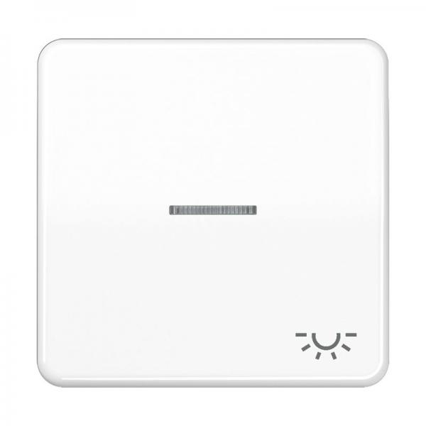 Jung CD500 Kontroll Wippe mit Symbol Licht Alpinweiß CD590KO5LWW