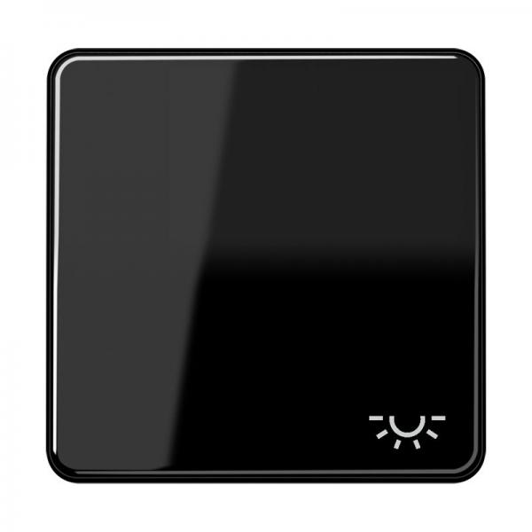 Jung CD500 Wippe mit Symbol Licht Schwarz CD590LSW
