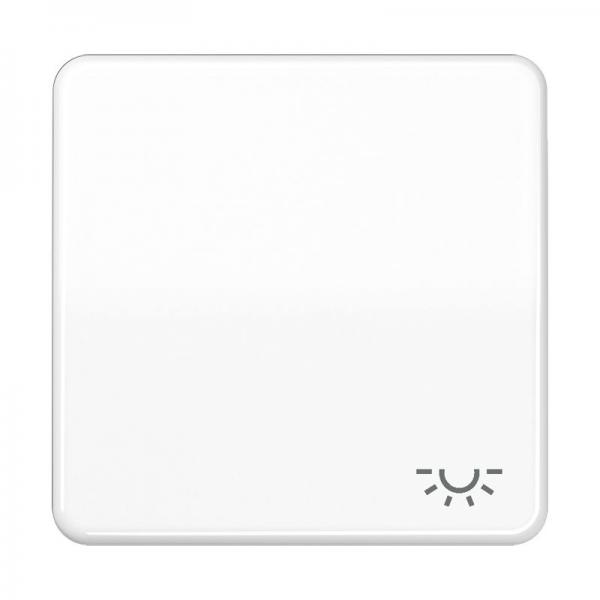 Jung CD500 Wippe mit Symbol Licht Alpinweiß CD590LWW