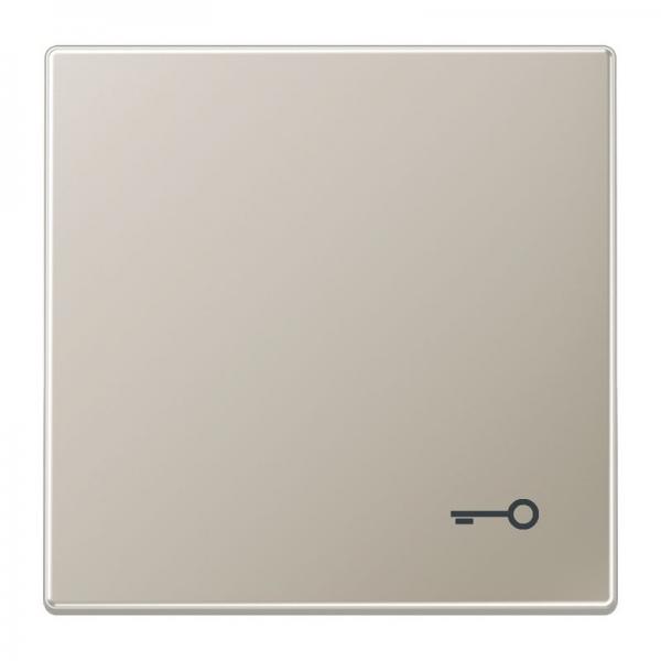 Jung LS990 Wippe mit Symbol Tuer Edelstahl ES2990T