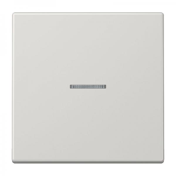 Jung LS990 Kontroll Wippe Lichtgrau LS990KO5LG
