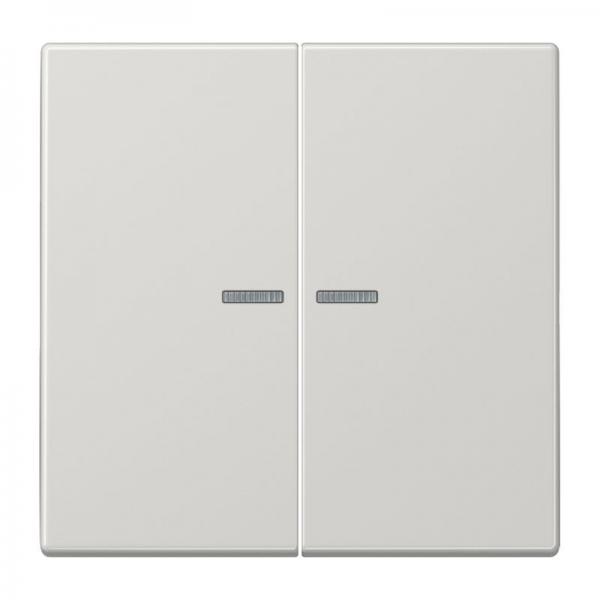 Jung LS990 Kontroll Serien Wippe Lichtgrau LS995KO5LG