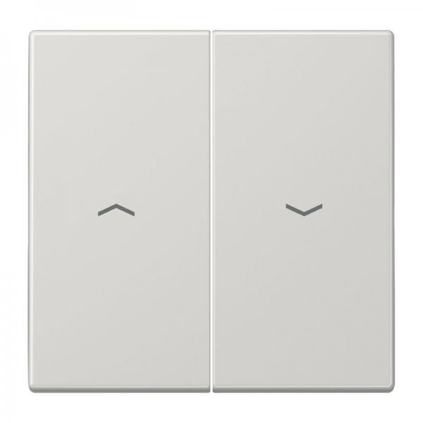 Jung LS990 Jalousie Wippe Lichtgrau LS995PLG