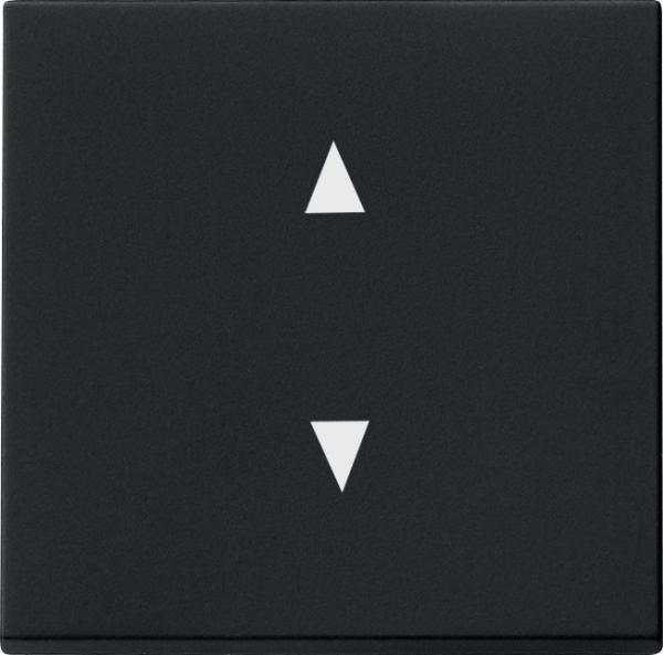 Gira Wippe Pfeile System 55 Schwarz m 8616005