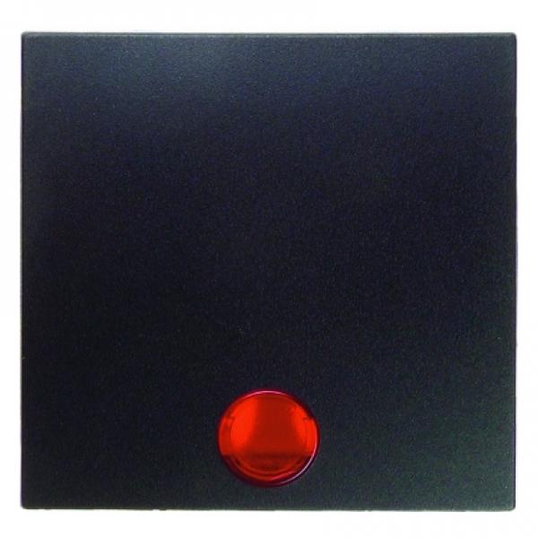 Berker B.3/B.7 Kontroll Wippe anthrazit, matt 16211606