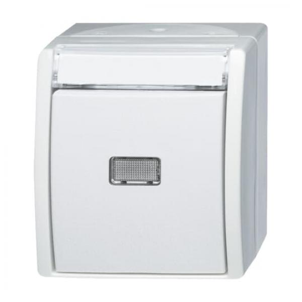 BJ Wipptaster Schließer 2621 WN-54-201