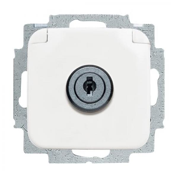 BJ SCHUKO® Steckdosen-Einsatz mit Klappdeckel und Schloss 20 EUKSL-214-101