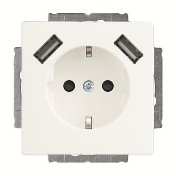 BJ 20 EUCB2USB-884 SCHUKO¨ 2x USB-Steckdose 20 EUCB2USB-884