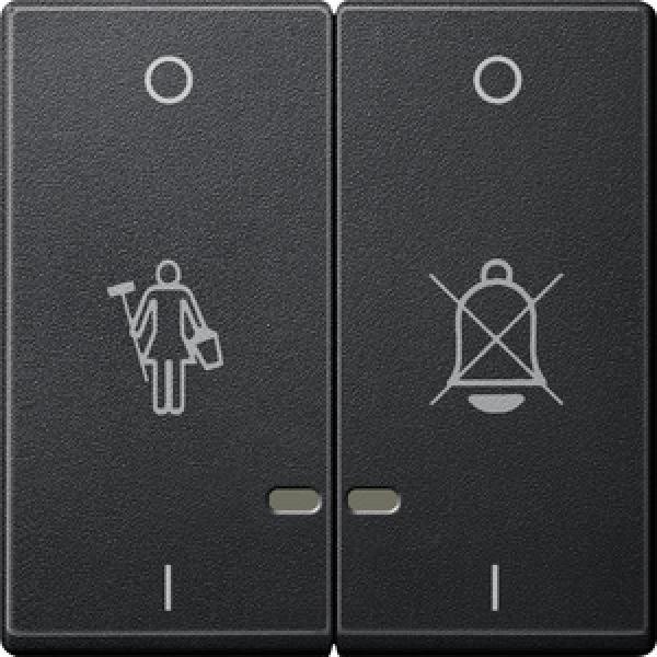 Merten Doppelwippe mit Kontrollfenster und Kennzeichnung für Hotelanwendungen, anthrazit, System M MEG3429-0414