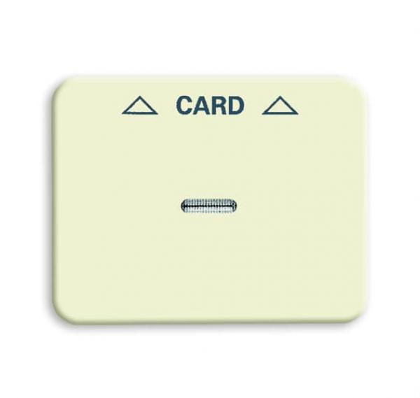 BJ Zentralscheibe Cardschalter 1792-22G-101