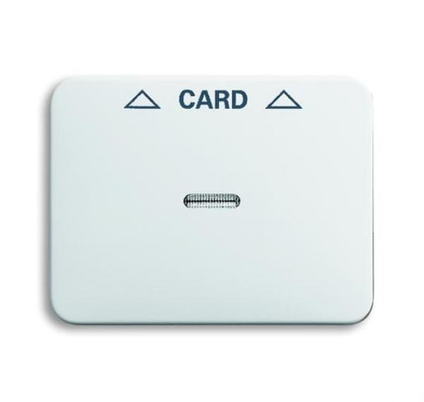 BJ Zentralscheibe Cardschalter 1792-24G-101