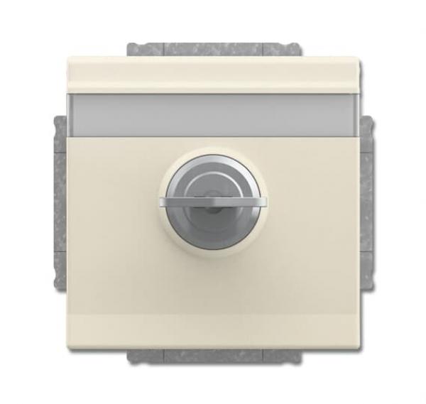 BJ SCHUKO® Steckdosen-Einsatz mit Klappdeckel und Schloss 20 EUKNBSL-82-101