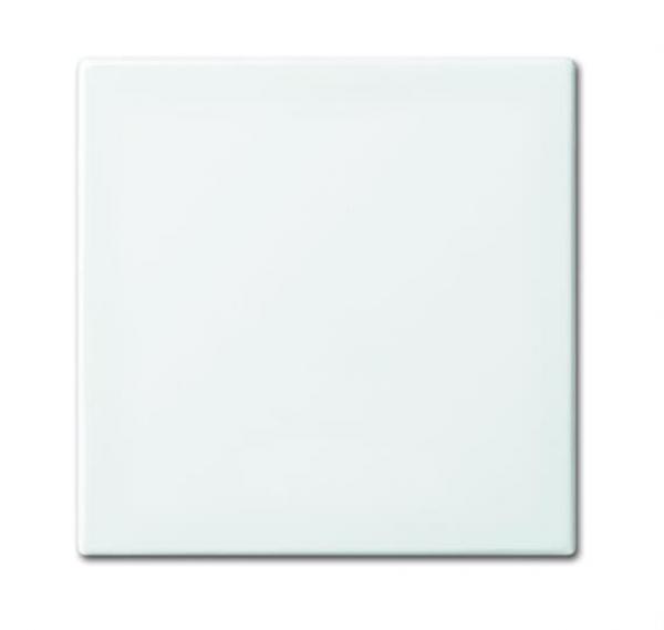 BJ Wippe anschraubbar (Halteelement) 2546-914