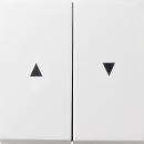 Gira Wippen mit Pfeilsymbol Fl_chenschalter Reinwei§ 0294112