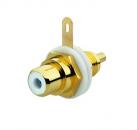 B+J Cinch Buchse alpinwei§ fŸr Kommunikations-Adapter, alpinwei§ 0263/04