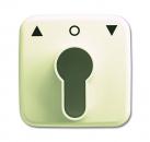 B+J Busch-Duro 2000¨ SI, Abdeckung fŸr Profilhalbzylinder, wei§ 2557 PZ-212-101