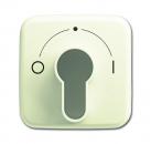 B+J Busch-Duro 2000¨ SI, Abdeckung fŸr SchlŸsselschalter, wei§ 2557 SLPZ-212-101